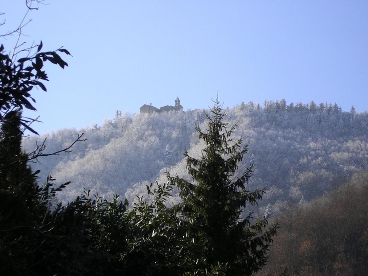 Villa Porcigliano Olive Grove Polcanto Exterior foto