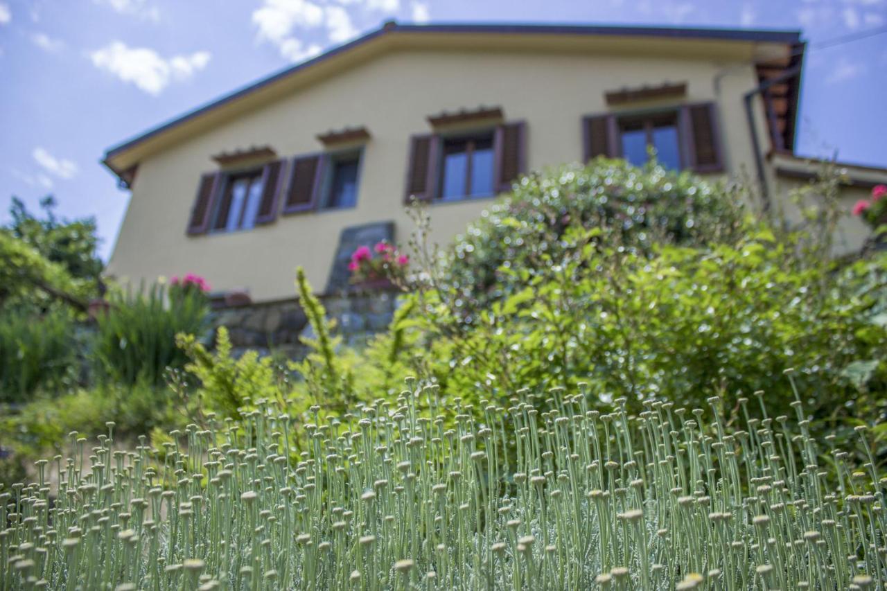 Villa Porcigliano Olive Grove Polcanto Exterior foto
