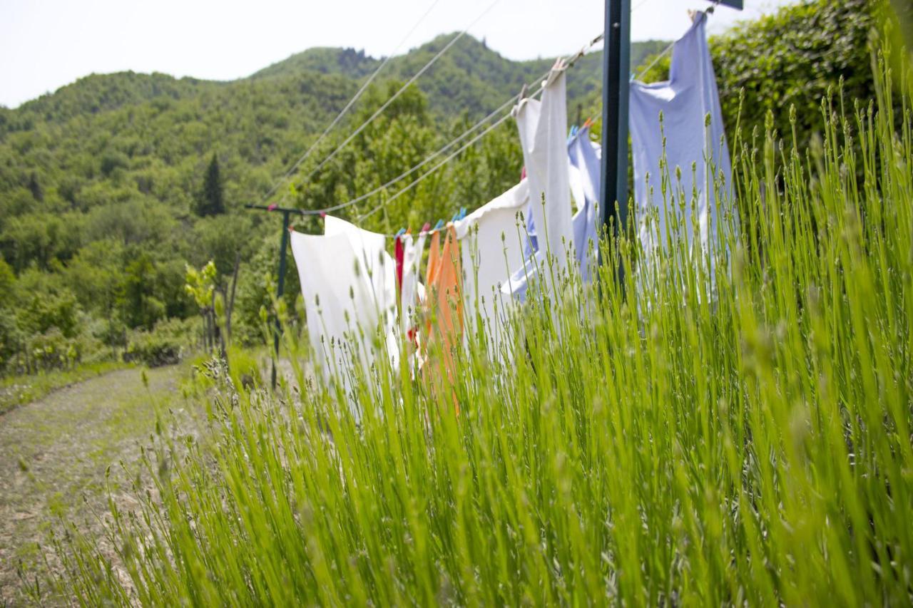 Villa Porcigliano Olive Grove Polcanto Exterior foto