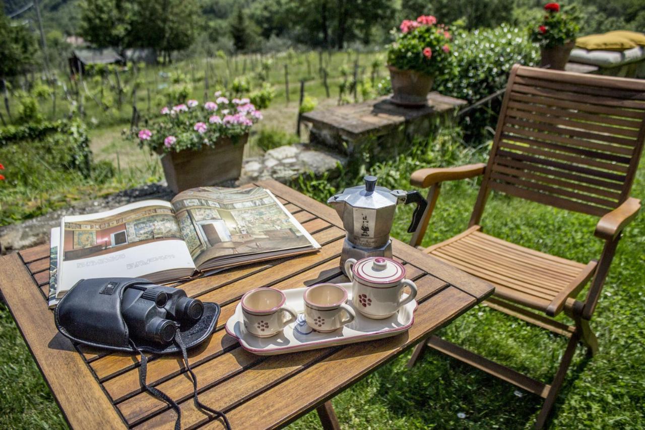 Villa Porcigliano Olive Grove Polcanto Exterior foto