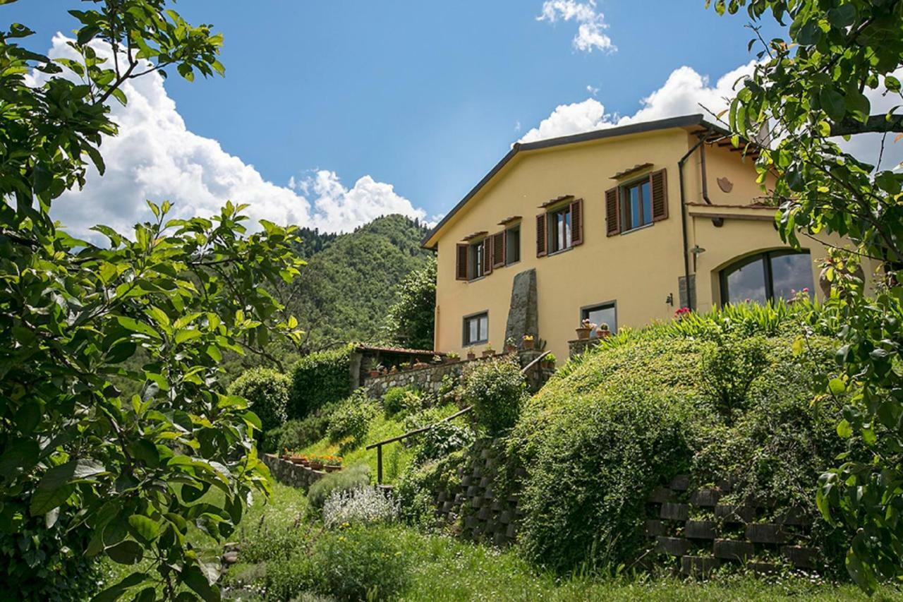 Villa Porcigliano Olive Grove Polcanto Exterior foto